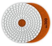 Segmented Diamond Wet Polishing Disc Ø125 R300 Velcro 3Y6P PRO